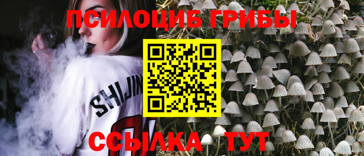 Галлюциногенные грибы GOLDEN TEACHER Ноябрьск