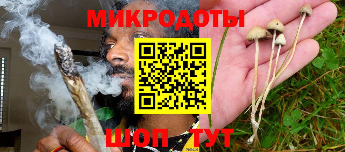 Ноябрьск  Галлюциногенные грибы Cubensis  Вход с VPN  Псилоцибиновые грибы Psilocybe 